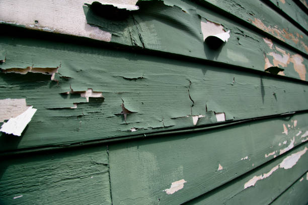 Best Fascia and Soffit Installation  in Los Molinos, CA