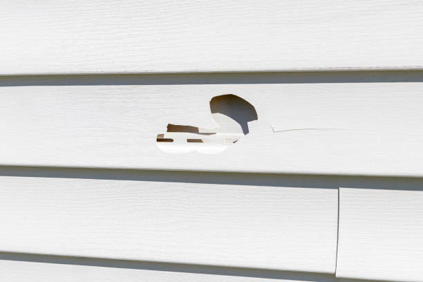 Best Wood Siding Installation  in Los Molinos, CA